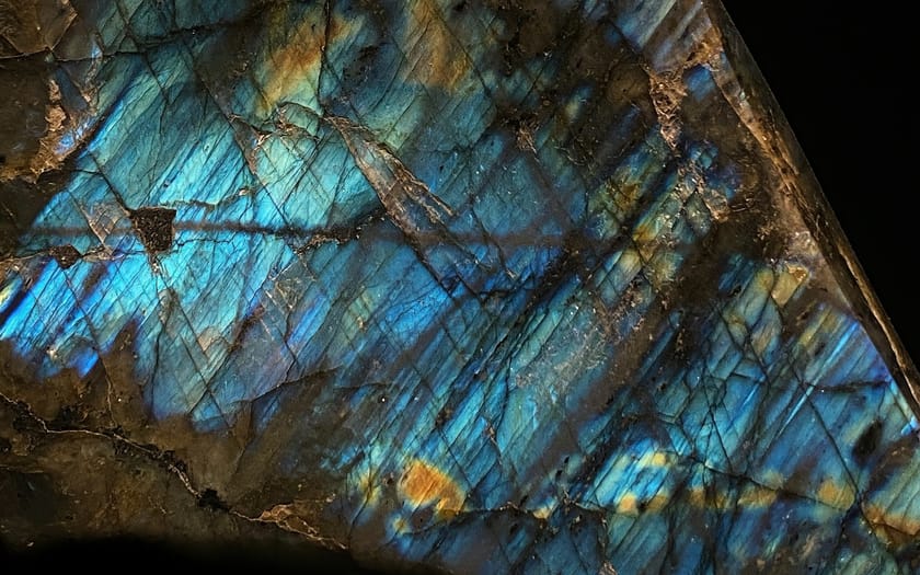 Bring Back the Change Consultant